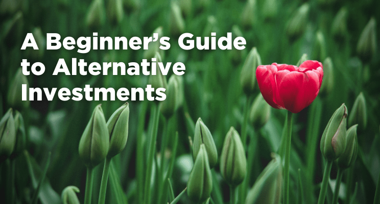 A Beginner’s Guide to Alternative Investments