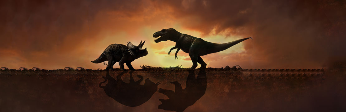 2023 Outlook: The evolution of markets [INFOGRAPHIC]